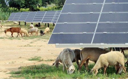 近日在法国南部揭幕的占地87公顷的太阳能和农业活动混合园区。（AFP/Getty Images）