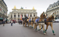 2014年法国马展（Salon du Cheval 2014）在巴黎北部Villepinte展览馆（Parc desExpositions de Paris Nord Villepinte）举行