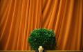 胡平认为，崔永元后台是习近平。（Getty Images）