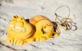漂到布列塔尼海滩上的加菲猫电话(AFP/Getty Image)