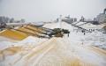 图为中国吉林省玉树市的一个国家粮食储备库卸载玉米的场面。(China Photos/Getty Images)