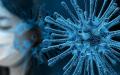  2019新型冠状病毒      （图片来源：pixabay）