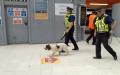 在伦敦滑铁卢车站值勤的警察和嗅探犬（Mark Kobayashi-Hillary/维基百科） 