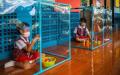 孩子在塑料框里独自玩玩具（图片来源：Lauren DeCicca/Getty Images）