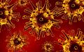冠状病毒图      （图片来源：Pixabay）