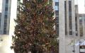 洛克菲勒中心广场上的圣诞树（图片来源：程帆/看中国）