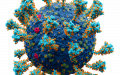 严重急性呼吸系统综合征冠状病毒2-奥密克戎变异株（图片来源：维基百科）