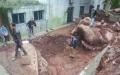 四川宜宾高县趱滩小学宿舍进行拓建，挖掘机在挖观赏水池时，挖到两块外形奇特 的巨石，分别是癞蛤蟆和螃蟹的形象。(图片来源：网络图片）