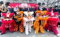 1月28日，法国美丽城联合商会在巴黎华人区美丽城举办了首届中国新年美食节活动，巴黎副市长、多位区长和副区长及各界人士应邀出席开幕典礼。（摄影：林莲怡/看中国）