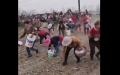 河南周口一农村上百村民拥进主人正在收割的药材地哄抢。（图片来源：视频截图）