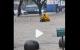 4月21日广东韶关暴雨来袭，马路成河。（图片来源：视频截图）