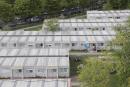 柏林一个为难民提供住房的集装箱定居点（Sean Gallup/Getty Images）