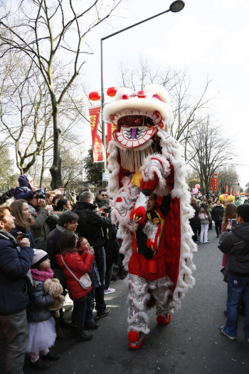 2015巴黎13区欢庆中国新年(图组3)
