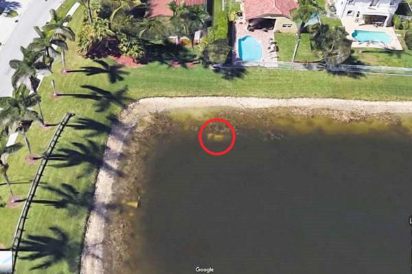 从Google卫星地图上发现威灵顿月亮湾一处池塘里有一辆轿车沉在水里。
