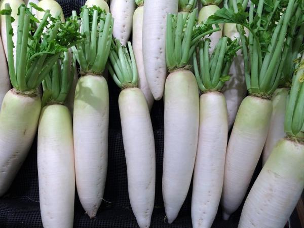 白萝卜营养丰富，有“小人参”美名。    （图片来源： pixabay)
