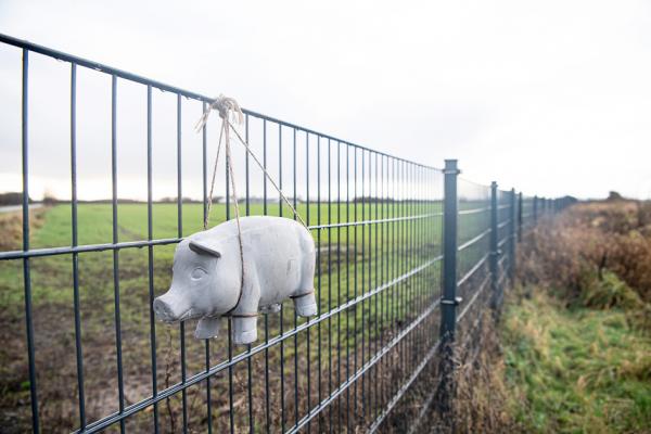 德国、丹麦边境防野猪的栅栏（AFP／Getty Images）