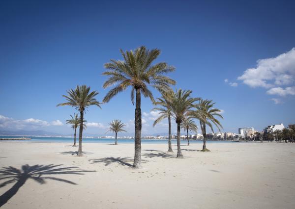 疫情导致封城，西班牙著名的Palma海滩变得空空荡荡。（AFP/Getty Images）