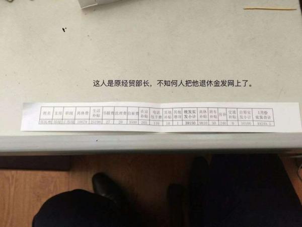网络热传疑似原经贸部长郑拓彬的退休金明细表格。（网络图片）