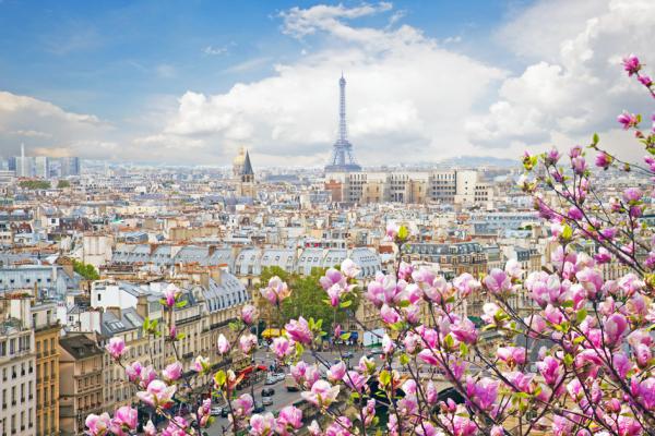巴黎著名旅游景点——埃菲尔铁塔，于6月25日重新对外开放。（123RF）