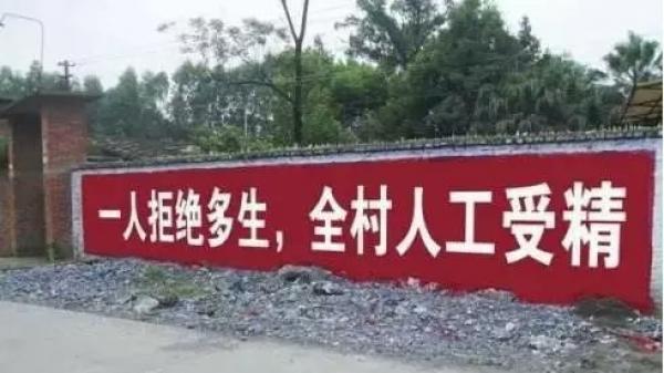 中国大陆某村庄强制百姓多生的惊人标语。（图片来源：推特）