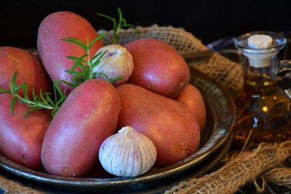 土豆是家常蔬菜，一定要吃新鲜的（以上图片均来源：pixabay）