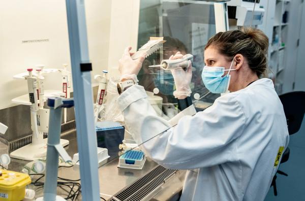 丹麦奥尔堡大学的一名研究人员正站在安全屏幕后筛选和分析所有阳性的丹麦冠状病毒样本。（HENNING BAGGER/Ritzau Scanpix/AFP/Getty Images）