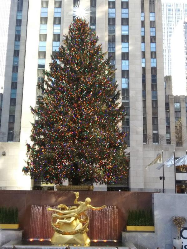 洛克菲勒中心广场上的圣诞树（图片来源：程帆/看中国）