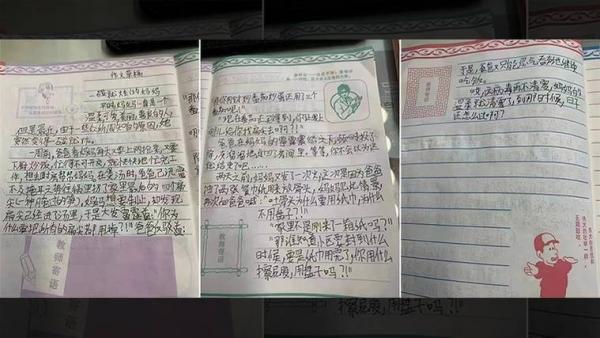 中国网络疯传一篇小学生的作文，生动描述了上海当下老百姓的困境，并透露上海人在封城下真实生活。（图片来源：网络图片）