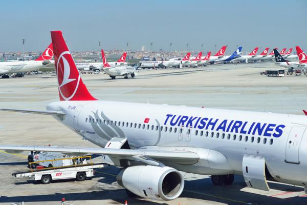 土耳其航空的客机（123RF）