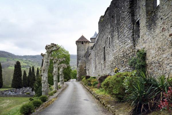 卡蒙镇16世纪建造的北面城墙（Pierre Bona/维基百科/CC BY-SA 3.0）
