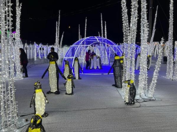 加拿大密西沙加举办世界最大灯展illumi。（图片来源：辛迪提供）