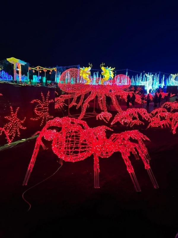 加拿大密西沙加举办世界最大灯展illumi。（图片来源：辛迪提供）