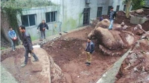 四川宜宾高县趱滩小学宿舍进行拓建，挖掘机在挖观赏水池时，挖到两块外形奇特 的巨石，分别是癞蛤蟆和螃蟹的形象。(图片来源：网络图片）