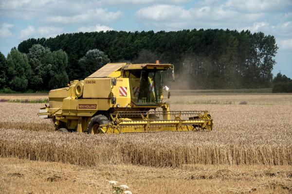 法国为世界第四大粮食出口国，面对本国的磷化氢农药禁令，法国政府希望力保法国谷物正常出口。（PHILIPPE HUGUEN/AFP via Getty Images） 
