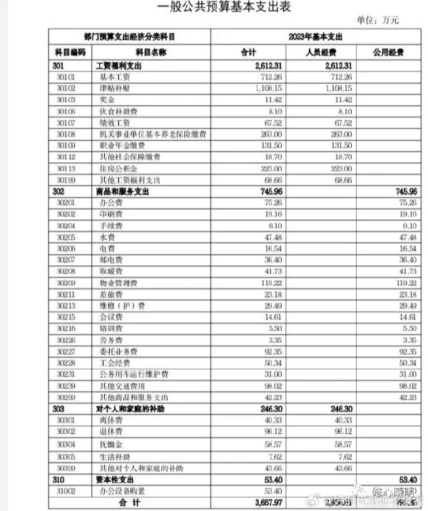 中国红十字总会晒出了今年的基本支出，这份数据里边的支出罗列，非常详细。（图片来源：网络截图）