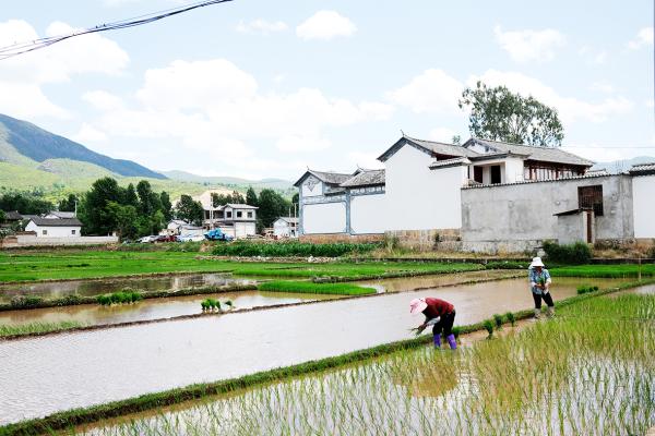 中国农村（Getty Images）