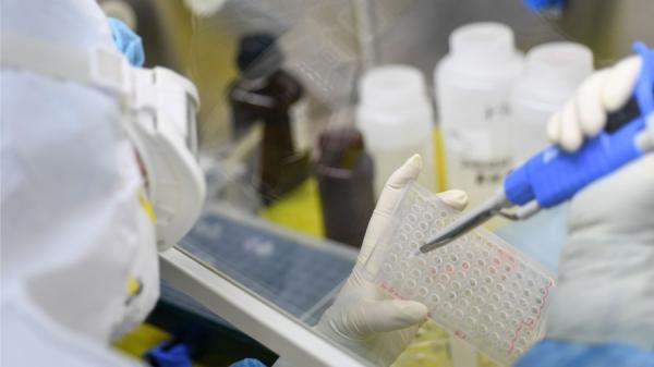 图为中共国基因组测序公司开设的新冠测试实验室 “ 火眼 ” 。（图片来源:Getty Images）