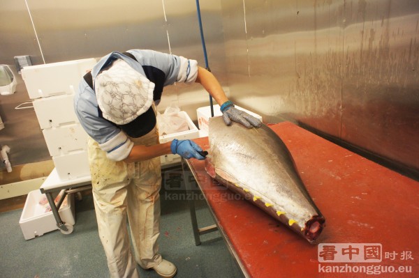 Reynaud Sushi的工作人员在清理鱼身。(摄影:林莲怡/看中国) Reynaud Sushi的工作人员在清理鱼身。(摄影:林莲怡/看中国)