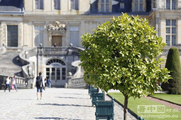 枫丹白露城堡公园 (Fontainebleau)
