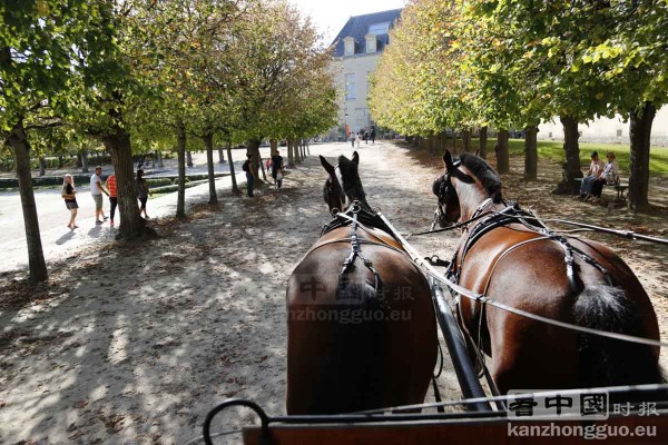 枫丹白露城堡公园 (Fontainebleau)