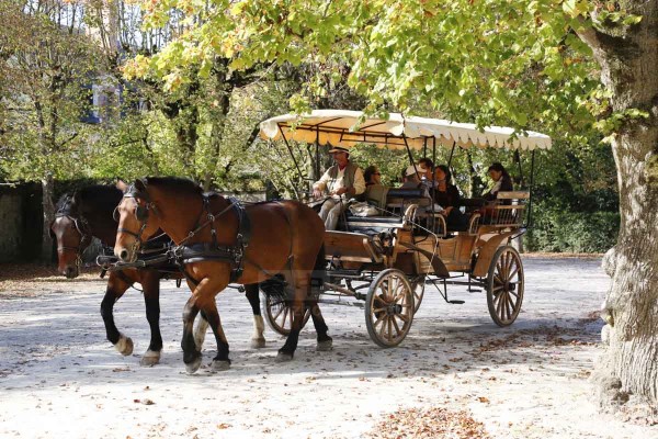 枫丹白露城堡公园 (Fontainebleau)