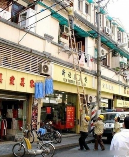 高高在上（网络图片）