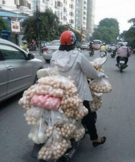 如此运鸡蛋！（网络图片）