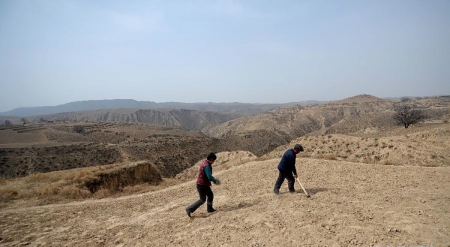 王明厚(右)和高生花在地里忙碌。(网络图片) 王明厚(右)和高生花在地里忙碌。(网络图片)