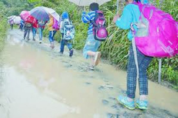 图片说明 图片说明