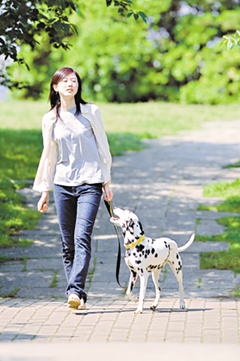 “奇葩”兼职：溜狗（网络图片）