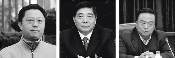 从左至右依次为杨卫泽、仇和、武长顺(网络图片) 从左至右依次为杨卫泽、仇和、武长顺(网络图片)