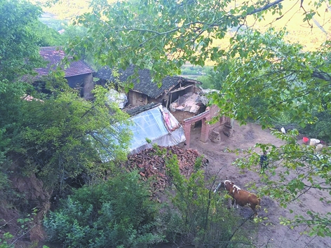 杨改兰位于山脚下的家(网络图片) 杨改兰位于山脚下的家(网络图片)