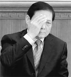 刘淇(网络图片)