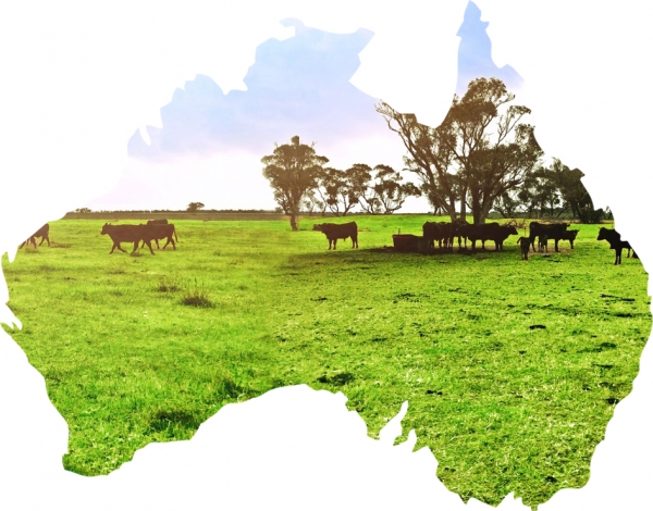 澳大利亚一处农场